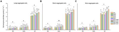 Divergent assembly of soil microbial necromass from microbial and organic fertilizers in Chimonobambusa hejiangensis forest